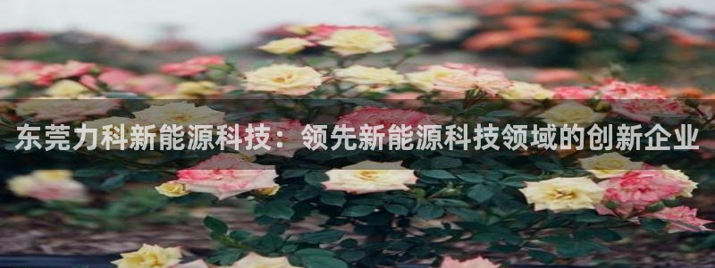 sunbet官网代理下载