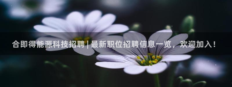 sunbet手机app版