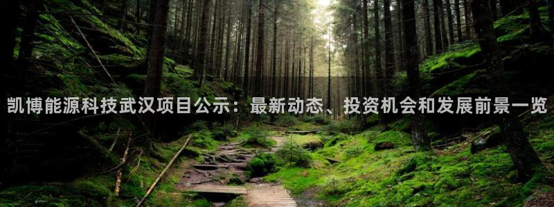 sunbet官网代理下载