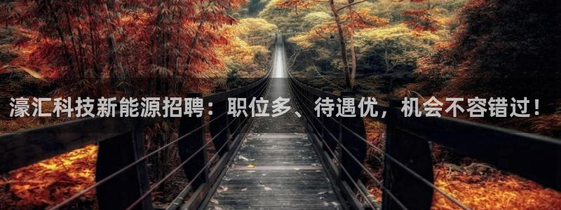 sunbet官网开户登录手机版