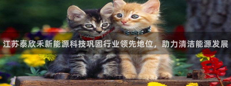 sunbet手机网页版