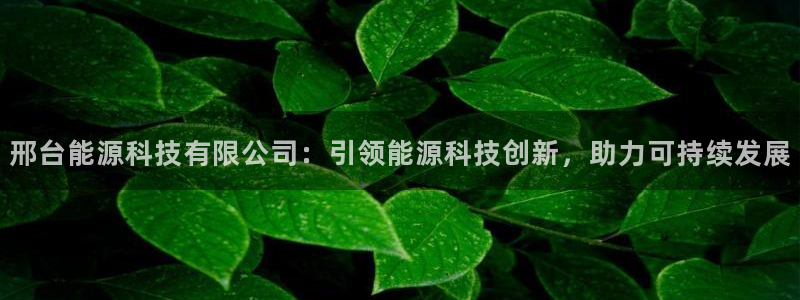 sunbet英语翻译