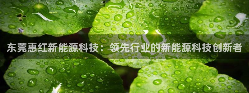 申博官网手机版下载app