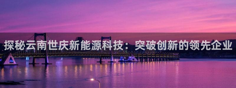 sunbet英语翻译