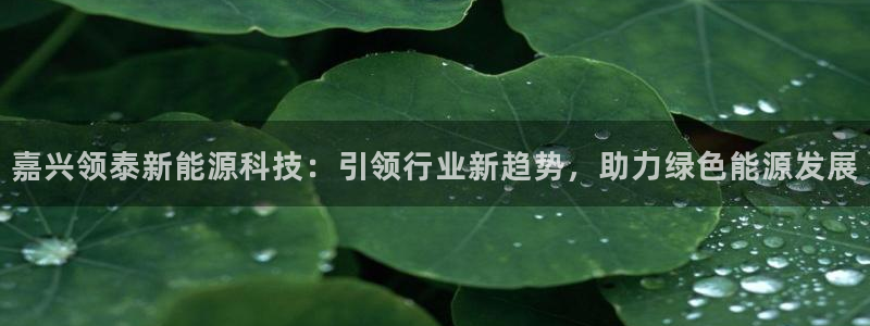 sunbet程序
