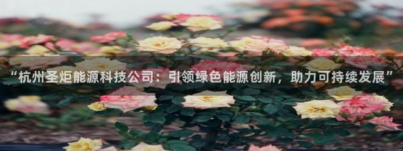 申博官网手机版下载app