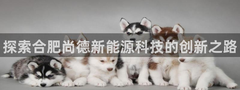 sunbet官网登录首页