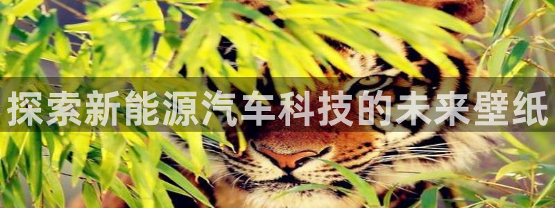 sunbet最新登陆