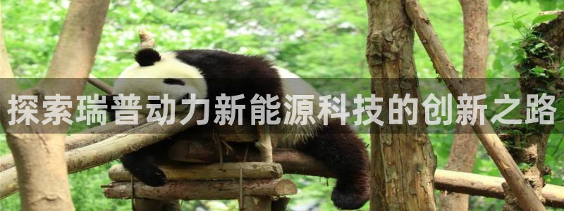 sunbet申搏官方网站