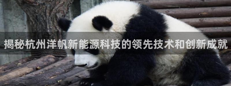 sunbet苹果官网下载