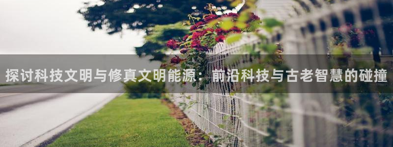 sunbet手机网页版