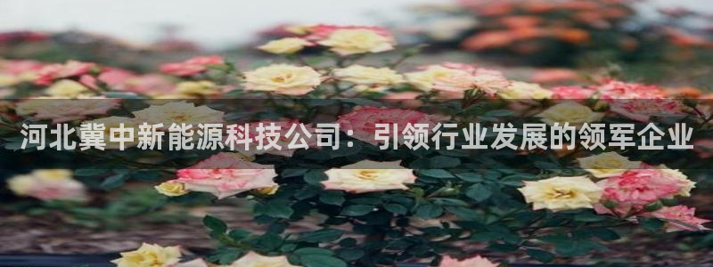 申博app下载