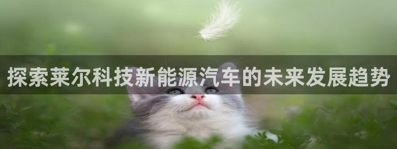 sunbet申搏官网