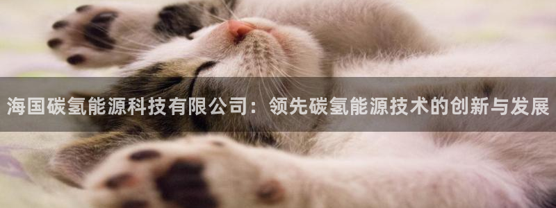 sunbet官网开户登录手机版
