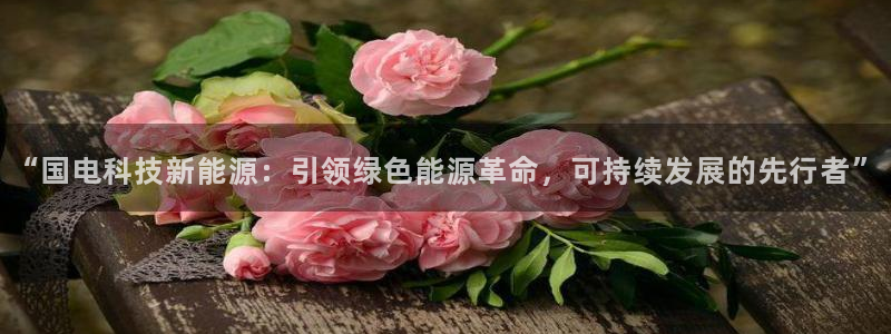 sunbet燃气灶