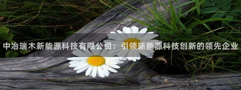 sunbet中文