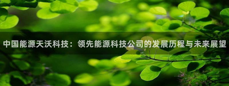 sunbet中文