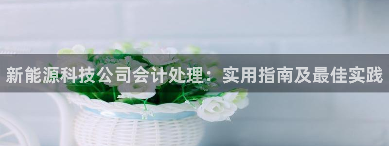 sunbet最新消息