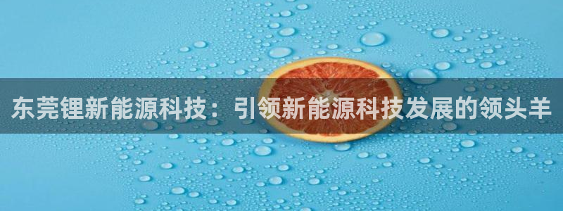 申博手机网站