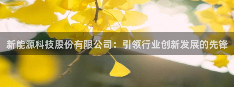 申慱sunbet版app