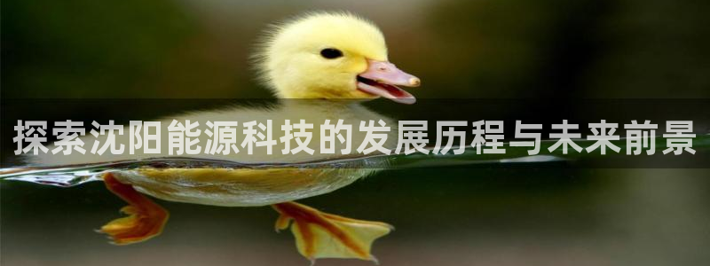 进入sunbet官网手机版登陆