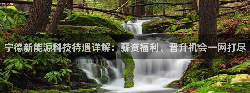 申慱sunbet手机版登