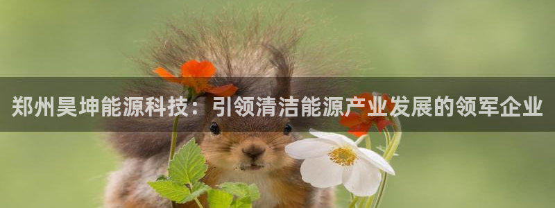 申博官方网站手机版下载