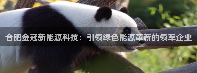 申博官网电脑版下载