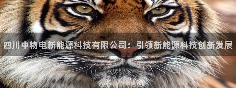 申博视讯