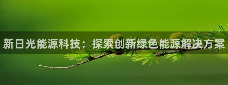 sunbet最新消息