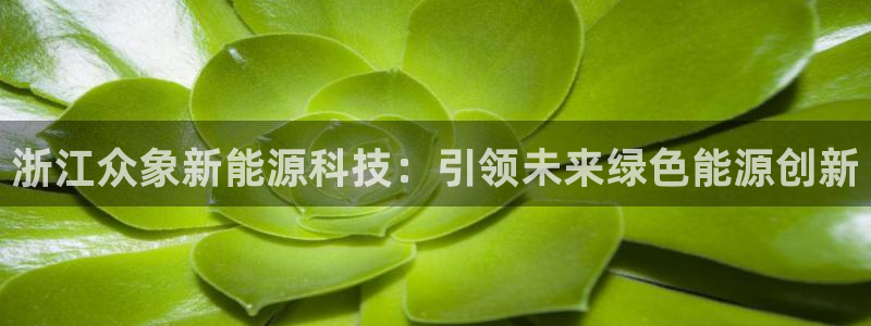 sunbet手机网页版