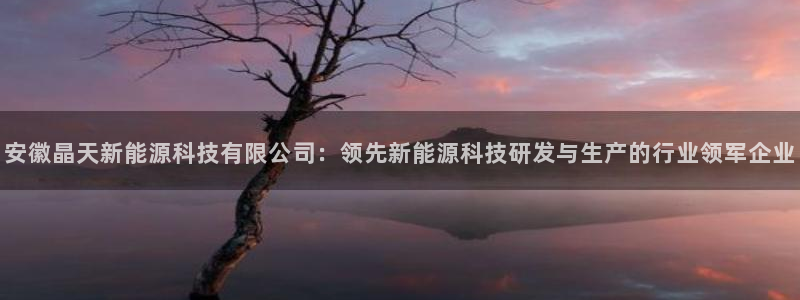 sunbet最新消息