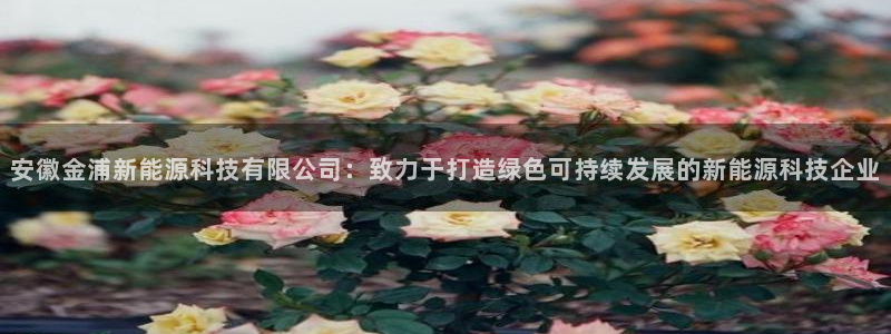 sunbet中文