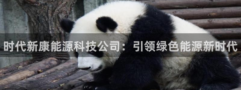 sunbet官网手机版登录