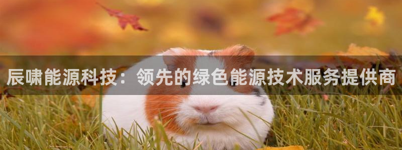 申慱sunbet网站
