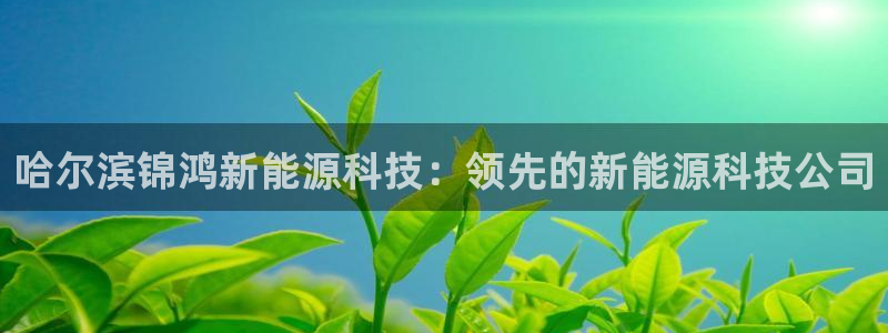 sunbet英语翻译