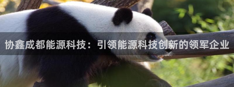 申慱sunbet版app