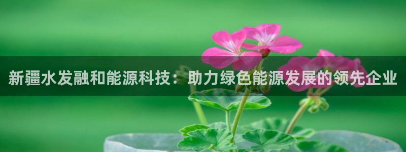 sunbet英语翻译