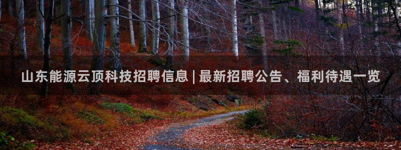 sunbet手机网页版本