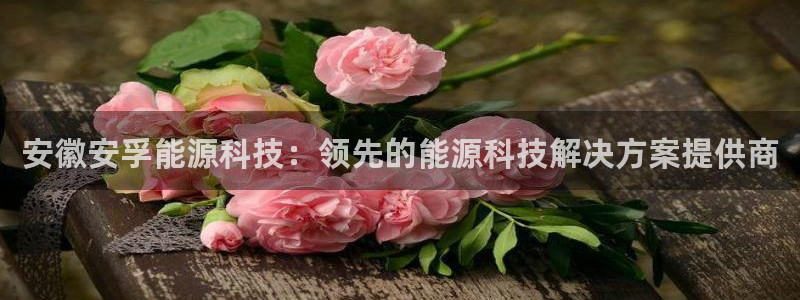 sunbet英语翻译