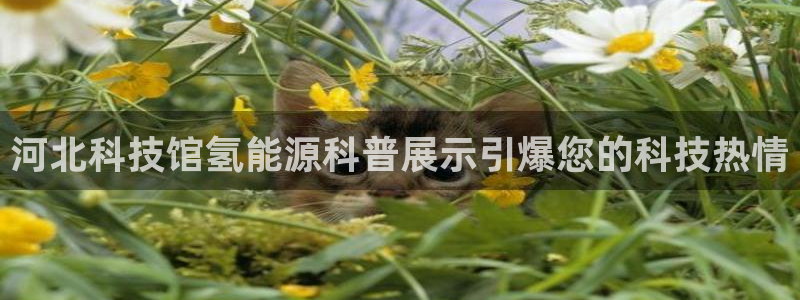 申博官网电脑版下载