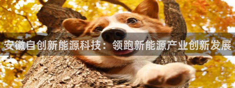 sunbet官网代理下载