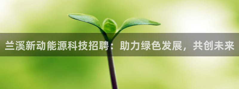 sunbet程序