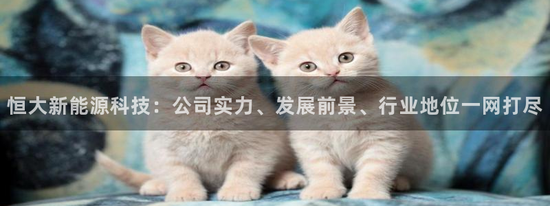 sunbet游戏网