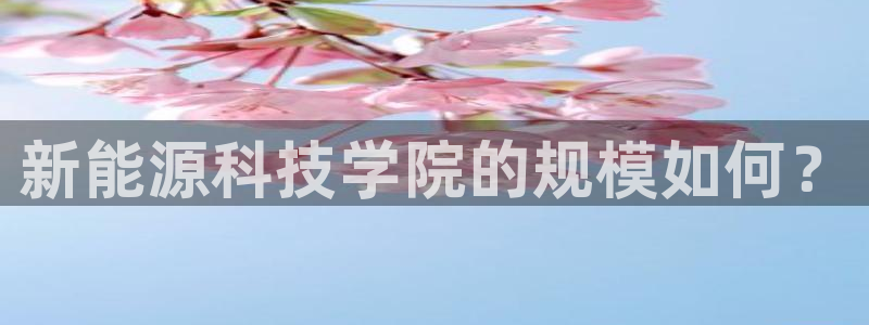 sunbet官网app首页