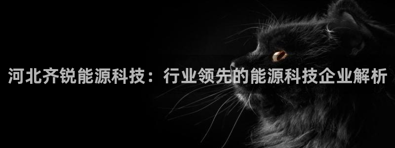 sunbet手机版官网下载