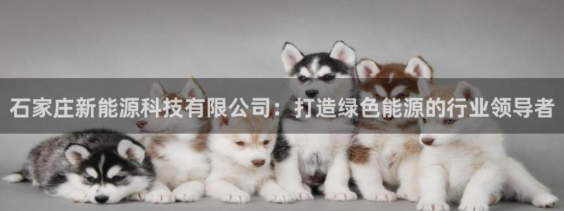 申博官方网址