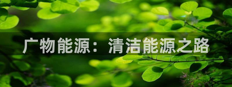 申博视讯