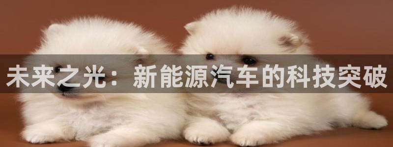 sunbet中文
