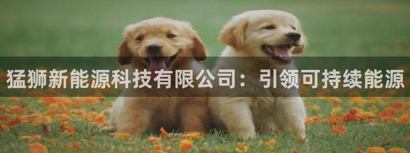sunbet最新登陆